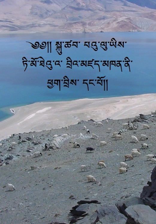 སྐུ་ཚབ་ པའུ་ལུ་ཡིས་ ཏི་མོ་ཐེའུ་འ་ བྲིའ་མཛད་མཁན་ནི་ ཕྱག་བྲིས་ དང་པོ་ཅན་ནི་  དཔེ་ཆའི་ ཐུམས་ དང་ མགོ་རྒྱན།