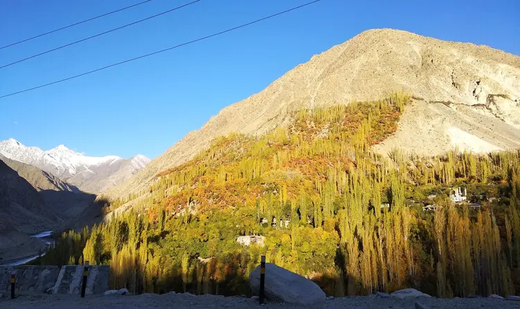 Autumn in Kargil