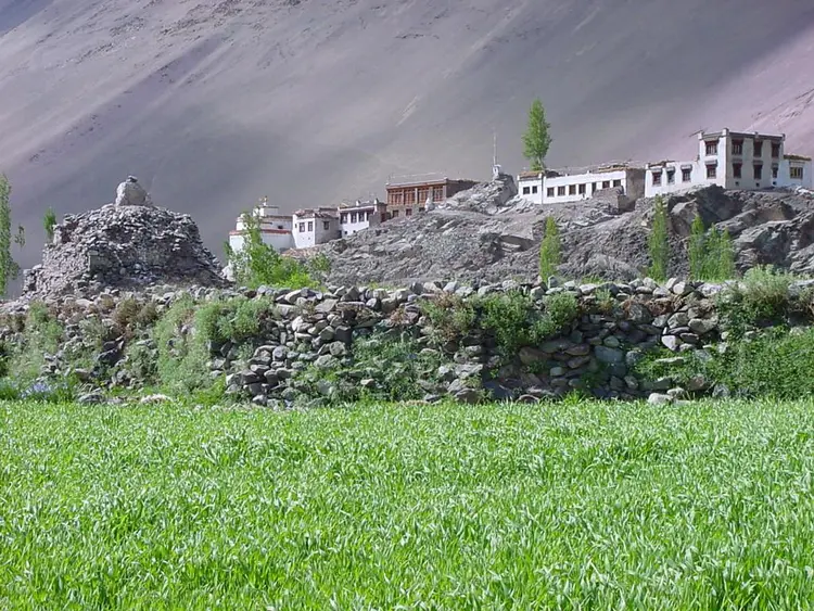 Village in Ladakh in summer